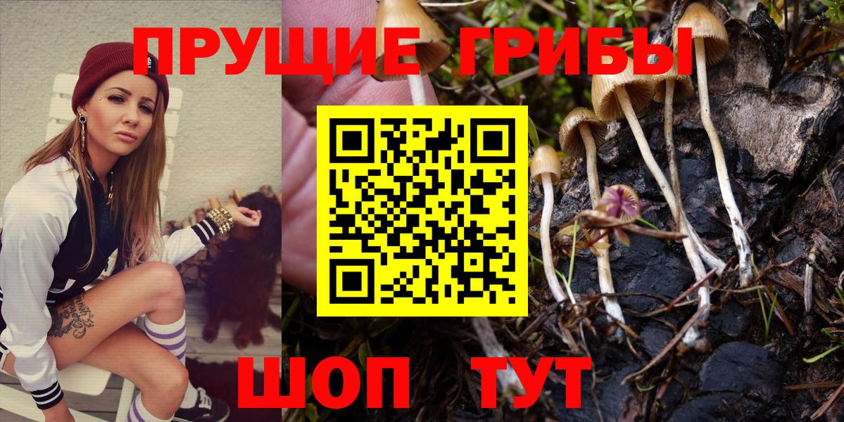 Псилоцибиновые грибы GOLDEN TEACHER  Галлюциногенные грибы Psilocybine cubensis  Вход с VPN  Тейково 