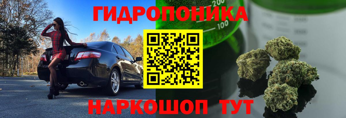 Конопля ГИДРОПОН  Канабис сатива  Вход с VPN  Конопля MAZAR  Тейково 